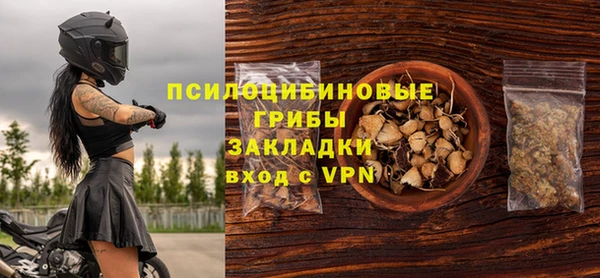 таблы Осинники