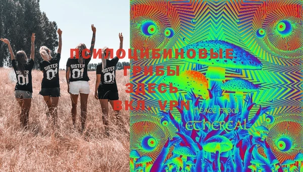 таблы Осинники