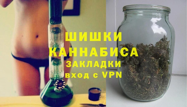шишки Дмитров