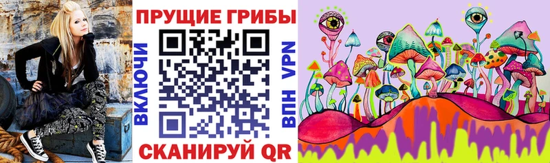 кракен рабочий сайт  Сальск  Галлюциногенные грибы MAGIC MUSHROOMS  где можно купить  