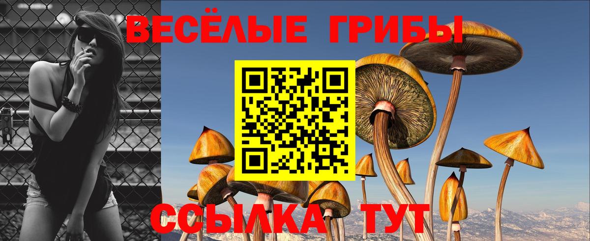 Псилоцибиновые грибы ЛСД Сальск