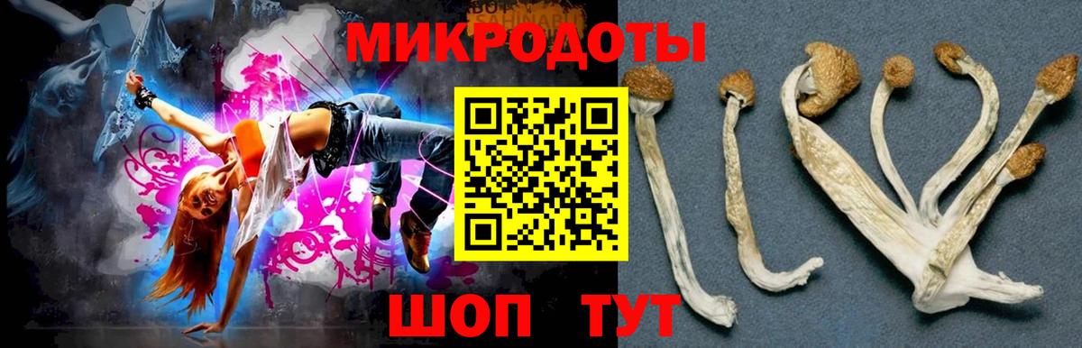 Сальск  Галлюциногенные грибы GOLDEN TEACHER  Вход с VPN  Галлюциногенные грибы Cubensis 